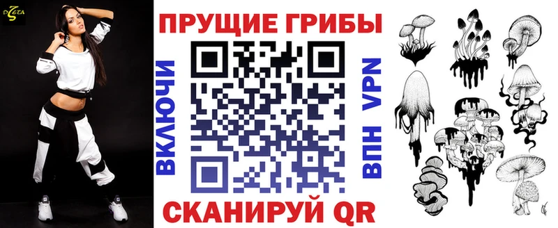 hydra как войти  Сухиничи  Галлюциногенные грибы мицелий 